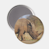 サイ マグネット (正面/裏面)