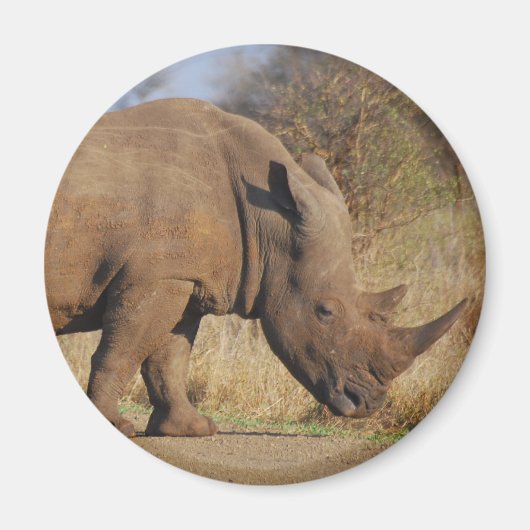 サイ マグネット (正面)