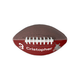 サイ　子供用　ミニ　アメリカンフットボール アメリカンフットボール