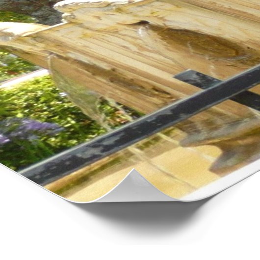 サウサリート噴水カリフォルニア旅行写真 ポスター (角)