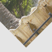 サウサリート噴水カリフォルニア旅行写真 薄葉紙 (詳細)