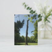 サウサンプトン(Hoglands公園) ポストカード (スタンド正面)