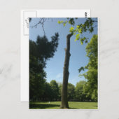 サウサンプトン(Hoglands公園) ポストカード (正面/裏面)