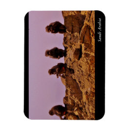 サウジアラビア マグネット