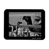 サウジアラビア マグネット (横)