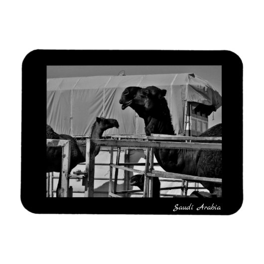 サウジアラビア マグネット (横)