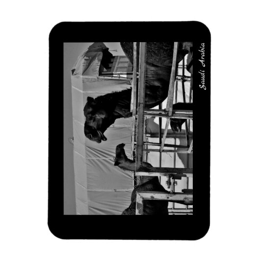 サウジアラビア マグネット (縦)