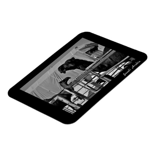 サウジアラビア マグネット (左側)