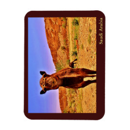 サウジアラビア マグネット