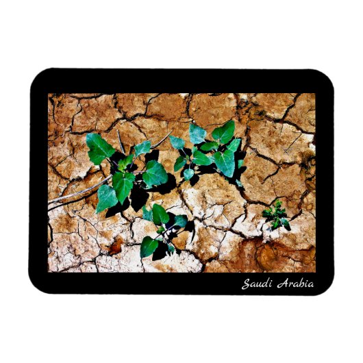 サウジアラビア マグネット (横)