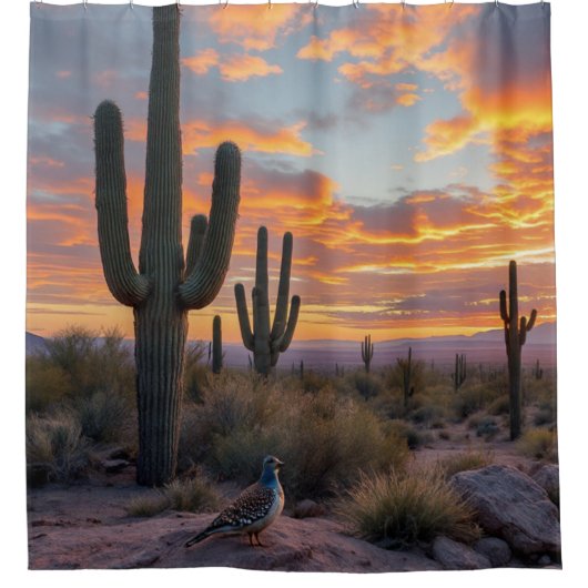 サウスウエスタンデザートウイルアットサンライズ シャワーカーテン (正面)