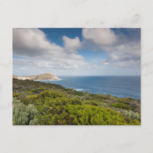 サウスウエストオーストラリア、アルバニー ポストカード (正面)