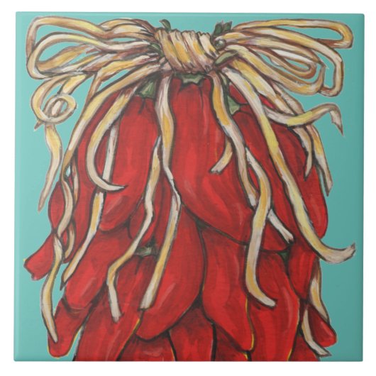 サウスウエストレッドチリストラトップハウス#ターコイズ タイル (正面)