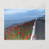 サウスウォルドポピースデュスク ポストカード (正面)