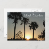 サウスカロニアパルメットサンライズ ポストカード (正面/裏面)