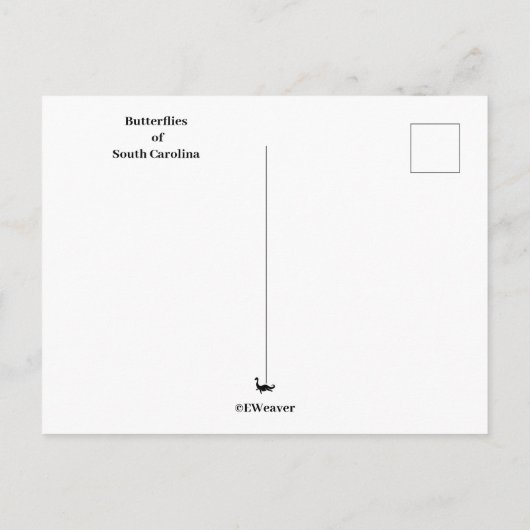 サウスカロライナのはがきの蝶 ポストカード (裏面)