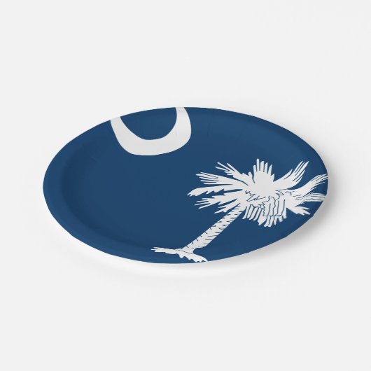 サウスカロライナのカスタムな紙皿7つ ペーパープレート (アングル)