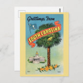 サウスカロライナのキャベッジパーム ポストカード (正面/裏面)