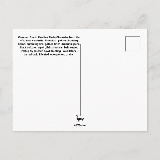 サウスカロライナの鳥の種のコラージュのはがき ポストカード (裏面)