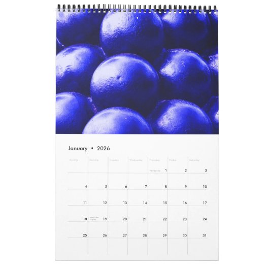 サウスカロライナの~のミステリーおよび歴史 カレンダー (1月 2026)