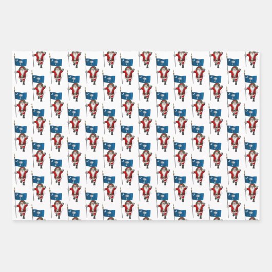 サウスカロライナを訪れるスイートサンタクロース ラッピングペーパーシート (正面)