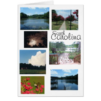 サウスカロライナ場面