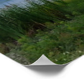 サウスカロライナ大サンダーストーム水湿地 ポスター (角)