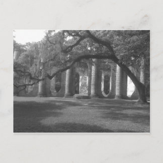 サウスカロライナ州のイェマシーにある旧シェルドン教会の遺跡 ポストカード