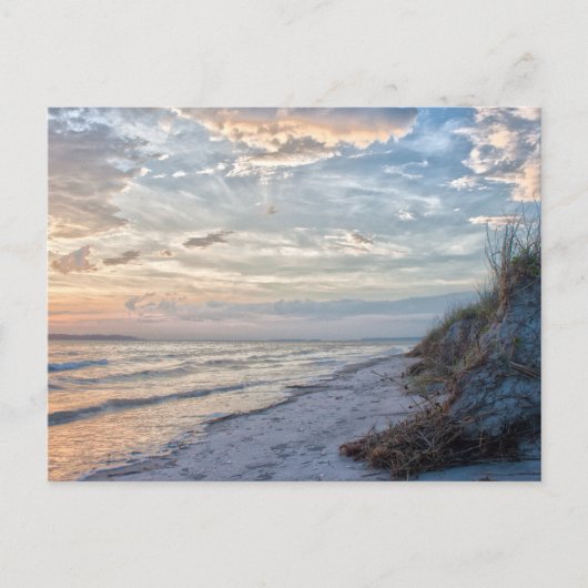 サウスカロライナ州のポストカード ポストカード (正面)