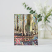 サウスカロライナ州はがき ポストカード (スタンド正面)