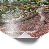 サウスカロライナ州エンジェルオークの下 フォトプリント            (角)