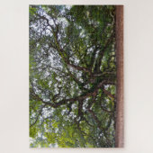 サウスカロライナ州エンジェルオーク ジグソーパズル (縦)