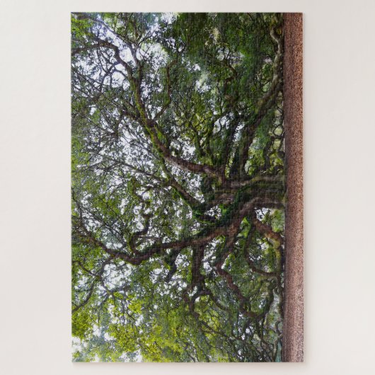 サウスカロライナ州エンジェルオーク ジグソーパズル (縦)