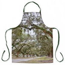 サウスカロライナ州オークス通り