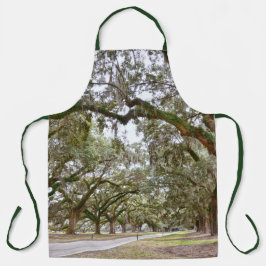 サウスカロライナ州オークス通り エプロン