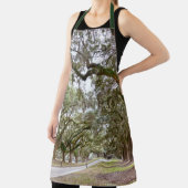 サウスカロライナ州オークス通り エプロン (インサイチュ)