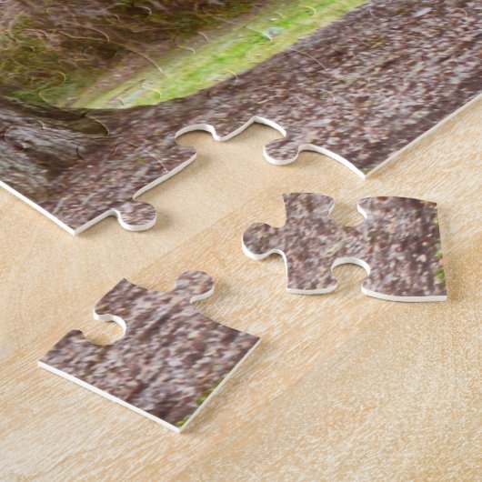 サウスカロライナ州オークス通り ジグソーパズル (側面)