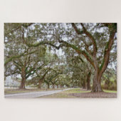 サウスカロライナ州オークス通り ジグソーパズル (横)