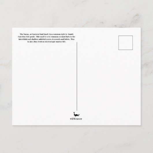 サウスカロライナ州カタツムリ郵便2 ポストカード (裏面)