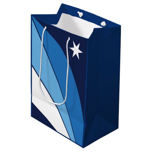 サウスカロライナ州コロンビア国旗 ミディアムペーパーバッグ (正面アングル)