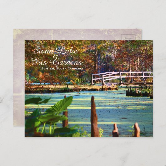 サウスカロライナ州サムター、スワンレイクアイリスガーデンズ ポストカード (正面/裏面)