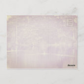 サウスカロライナ州サムター、スワンレイクアイリスガーデンズ ポストカード (裏面)