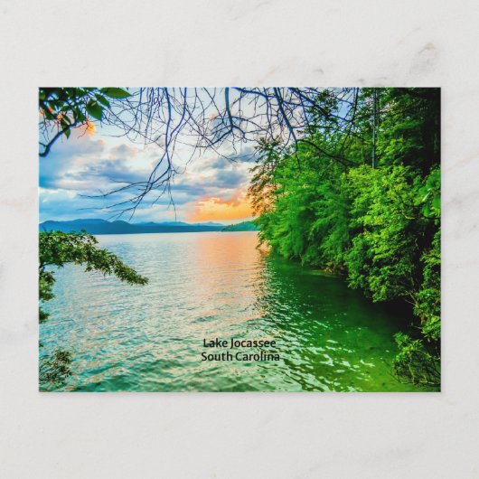 サウスカロライナ州ジョカスゼ湖 ポストカード (正面)