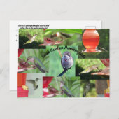 サウスカロライナ州ハミングバード ポストカード (正面/裏面)