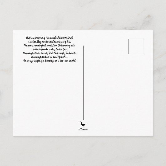 サウスカロライナ州ハミングバード ポストカード (裏面)