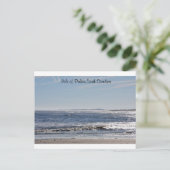 サウスカロライナ州パームズアイランド ポストカード (スタンド正面)