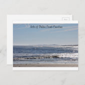 サウスカロライナ州パームズアイランド ポストカード (正面/裏面)