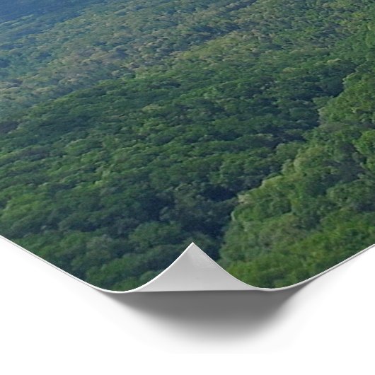 サウスカロライナ州ピナクルマウンテン ポスター (角)