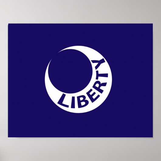 サウスカロライナ州フォートモールトリ国旗 ポスター (正面)