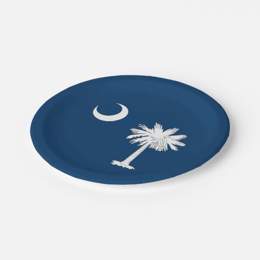 サウスカロライナ州旗を持つ愛国的な紙プレート ペーパープレート (アングル)